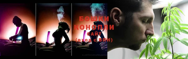 мяу мяу мука Инсар