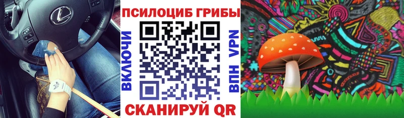 продажа наркотиков  mega ONION  Галлюциногенные грибы GOLDEN TEACHER  Ефремов 